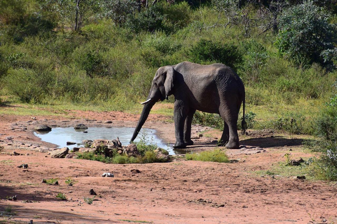 Sekala Private Game Lodge Welgevonden Game Reserve Eksteriør bilde